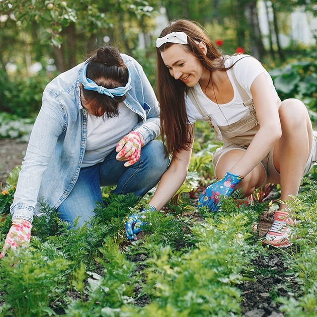 A Importância do Jardim para Sua Saúde e Bem-Estar